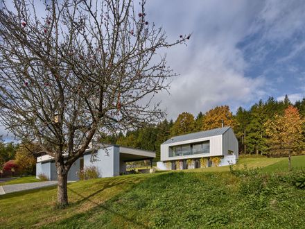 House With A Mountain View