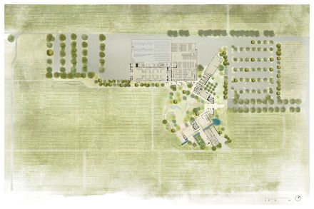 Robert Mondavi Winery Transformation