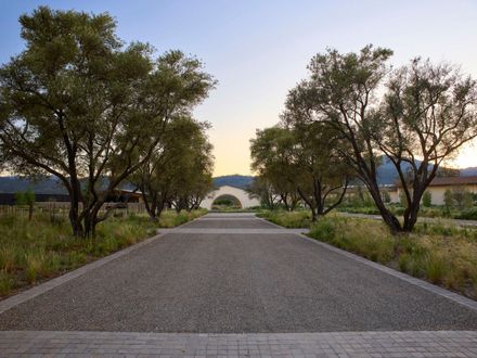 Robert Mondavi Winery Transformation