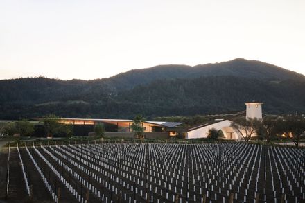 Robert Mondavi Winery Transformation
