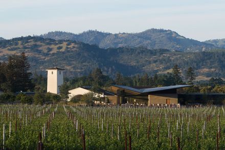 Robert Mondavi Winery Transformation