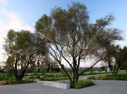 Robert Mondavi Winery Transformation