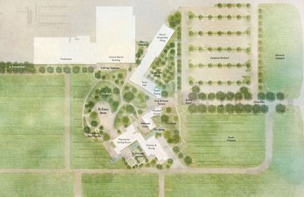Robert Mondavi Winery Transformation