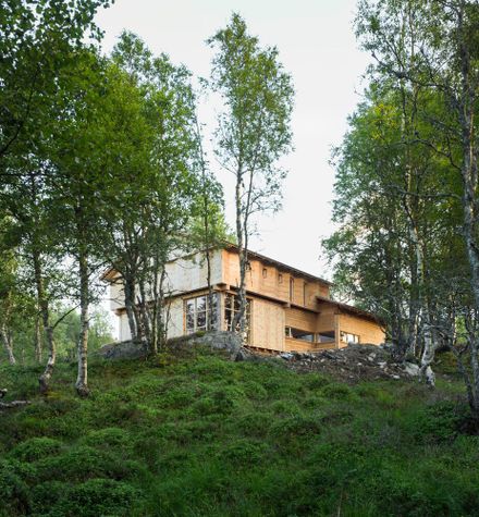 Timber Temple - Cabin In Sirdal