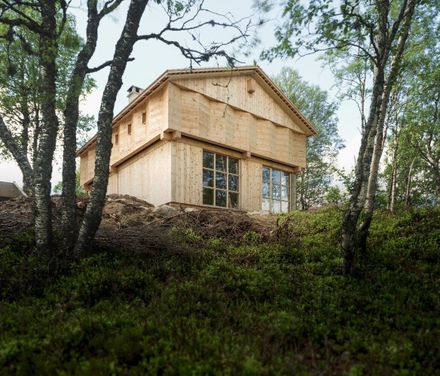 Timber Temple - Cabin In Sirdal