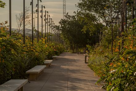 Arriaga Linear Park