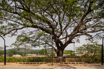 Arriaga Linear Park