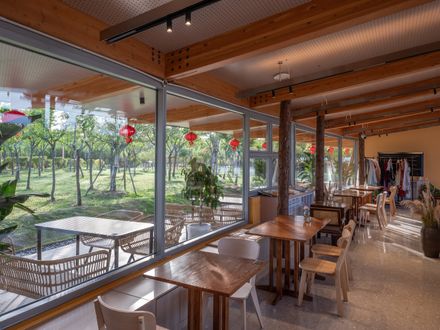 TBB Libraries – Hundred Flowers Park Libraries