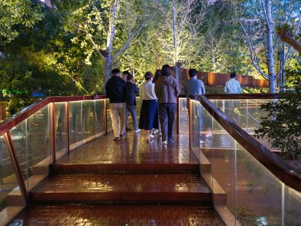 The Ecological Kaleidoscope Of East Nanjing Road: Century Square Reborn