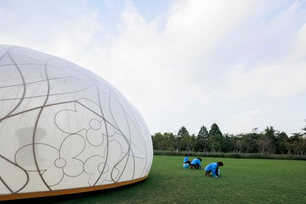 Osmanthus Moon
