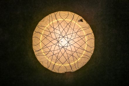 Osmanthus Moon