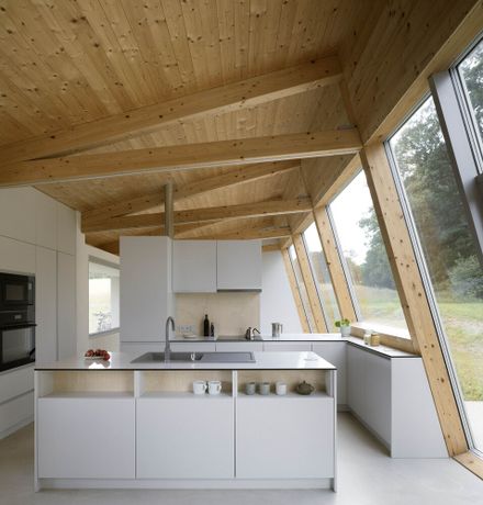 Modular House With A Sloping Facade