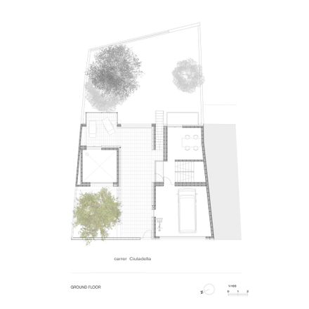 The Fig Tree house