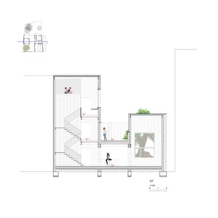 The Fig Tree house