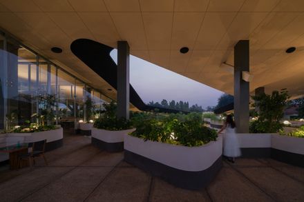 Mitte Oblique Garden
