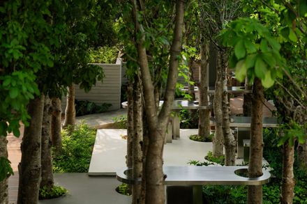Mitte Oblique Garden