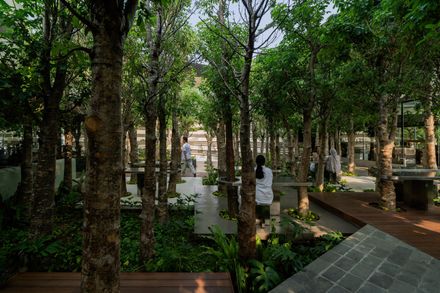 Mitte Oblique Garden