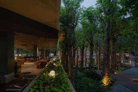 Mitte Oblique Garden