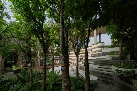 Mitte Oblique Garden