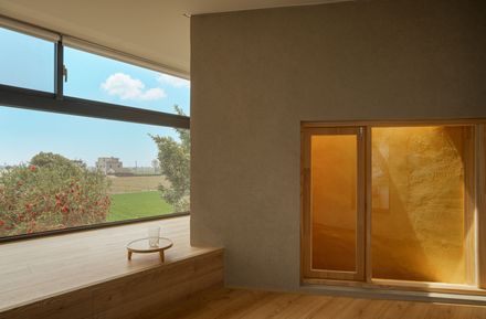 Skin Of Skin House