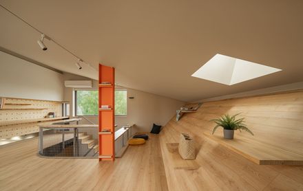 Skin Of Skin House