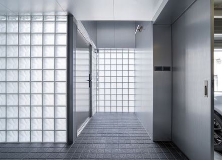 Skin Of Skin House