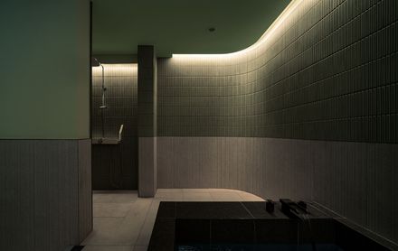 Skin Of Skin House