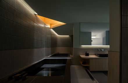 Skin Of Skin House