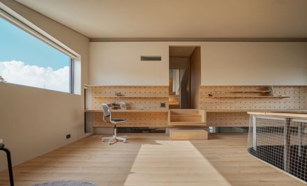 Skin Of Skin House