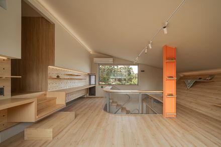 Skin Of Skin House