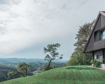 House On The Hill