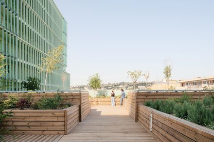 OASIS Student Residence