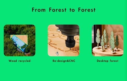 Wiki World Forest Store