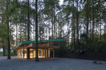 Wiki World Forest Store