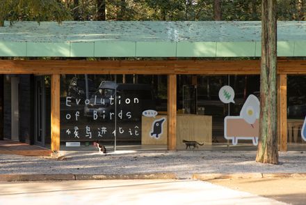 Wiki World Forest Store