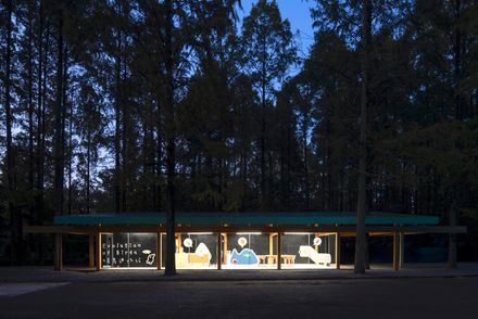 Wiki World Forest Store