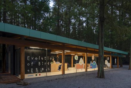 Wiki World Forest Store