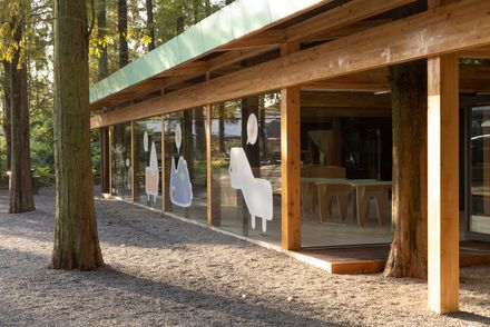 Wiki World Forest Store