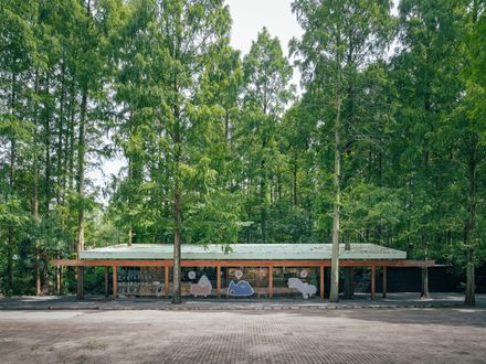 Wiki World Forest Store