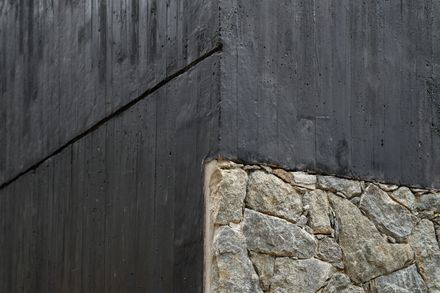 La Negrita House