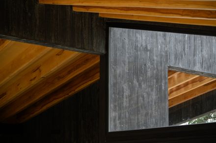 La Negrita House