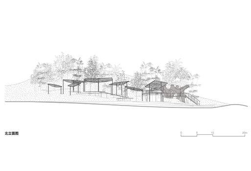 Floating Canopy Grove