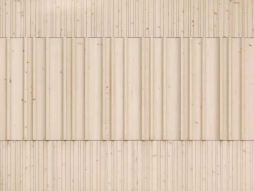 Community Center Langen Bei Bregenz