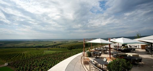 Tokaj Sauska Winery