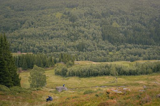 Fireplace Shelter - Gløde