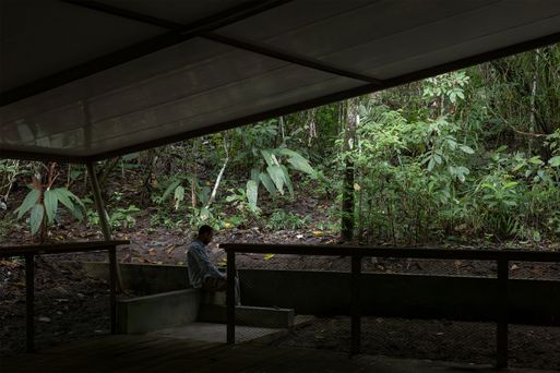 Refuge In The Rainforest - Tour Guide Training Center