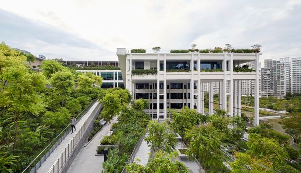 Punggol Neighbourhood And Polyclinic