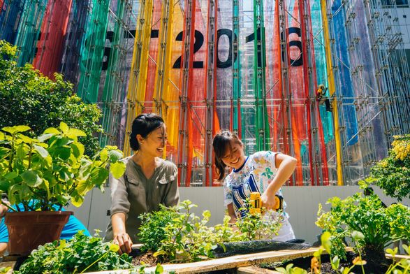 Archifest 2016 Pavilion