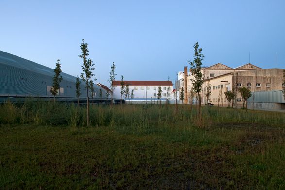 Art and Architecture Faculty