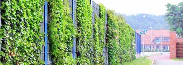 Kohlhauer Planta® Noise Barriers